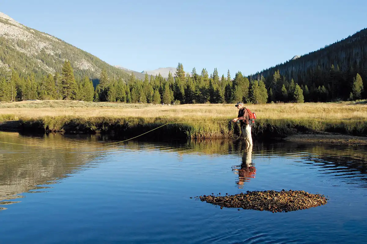 Fly Fishing in Tuolumne County