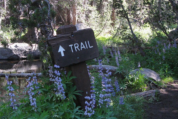 Hiking in Yosemite