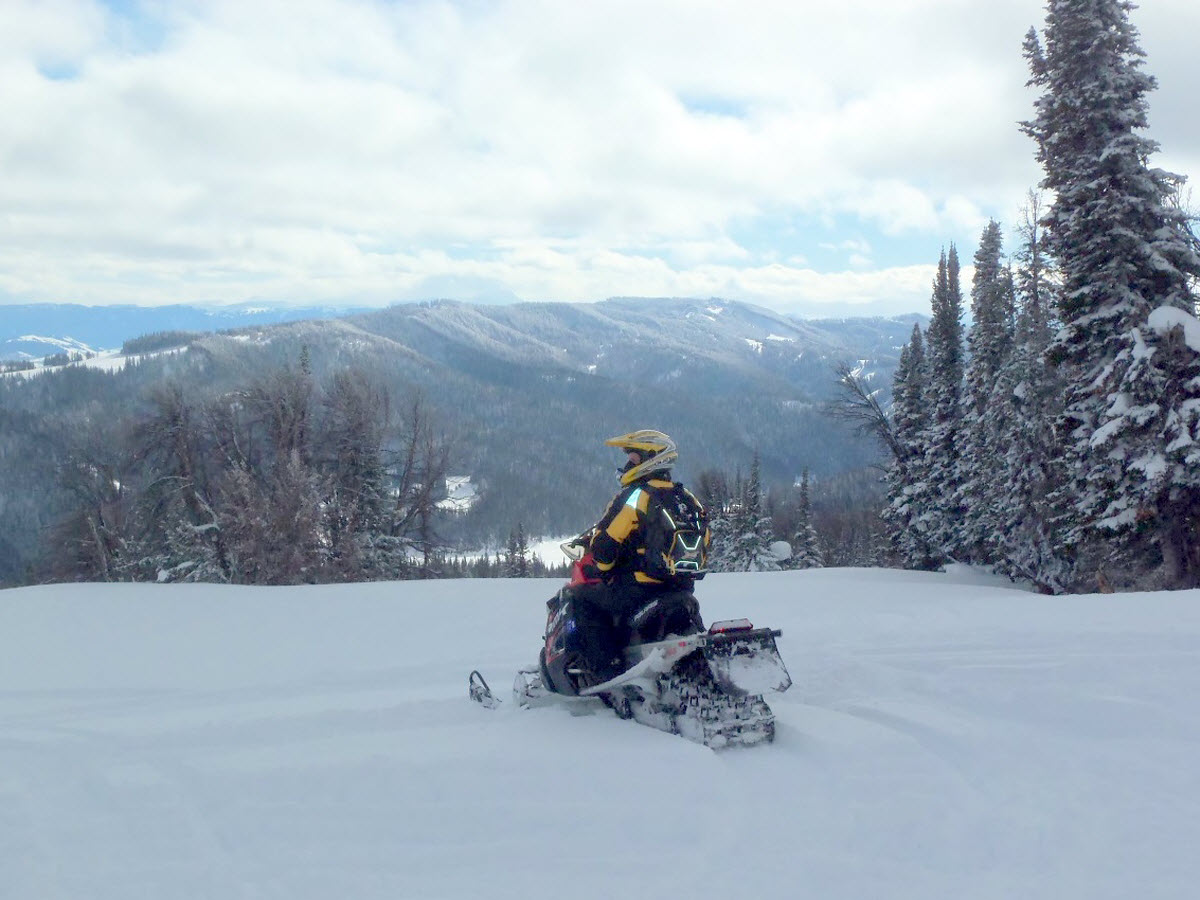 Snowmobiling at Sonora Pass